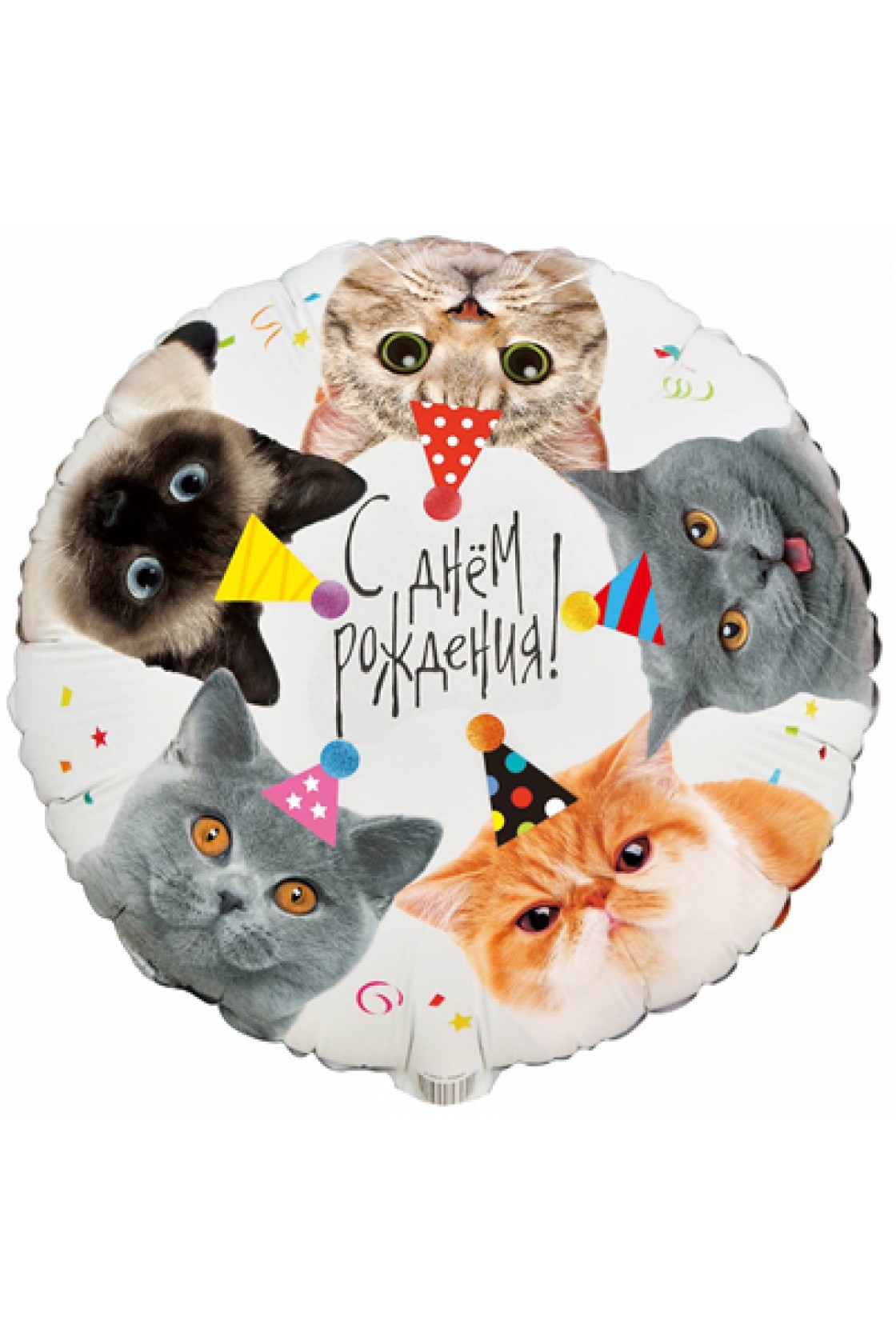 Купить FM Круг С ДР Котики в колпаках в Новосибирске с доставкой