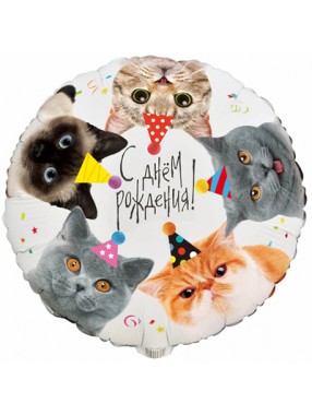 FM Круг С ДР Котики в колпаках