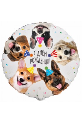 FM Круг С ДР Собачки в колпаках