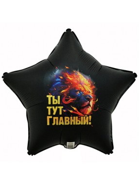 FM Звезда ТЫ ТУТ ГЛАВНЫЙ Лев